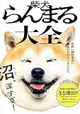 柴犬らんまる大全 - 世界一頭がまるい柴犬のたのしいまいにち -