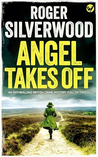 Angel Takes Off book cover
