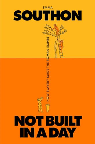 Not Built in a Day book cover
