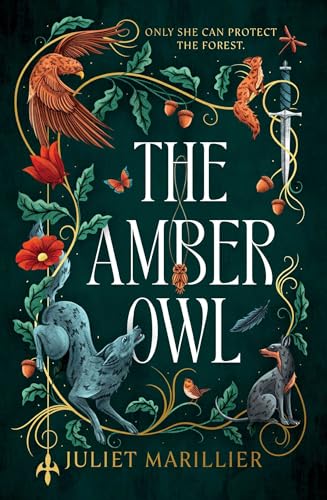 The Amber Owl book cover