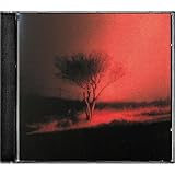 Piss In The Wind (2026)