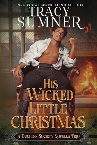 His Wicked Little Christmas book cover
