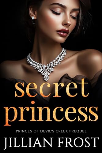 Secret Princess book cover