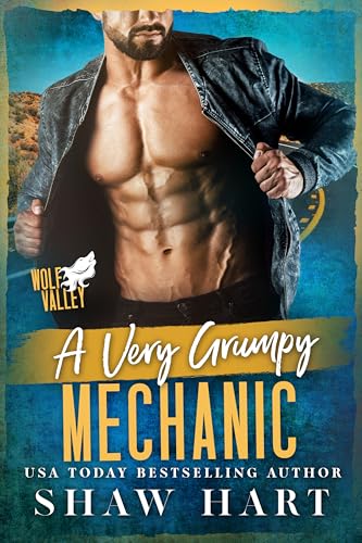 A Very Grumpy Mechanic book cover