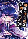 ＜野生のラスボスが現れた！ -黒翼の覇王-　11【電子書店共通特典イラスト付】 (アース・スターコミックス)＞