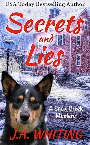 Secrets and Lies book cover