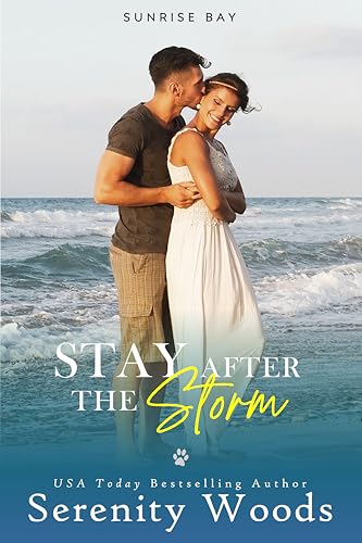 Stay After the Storm cover