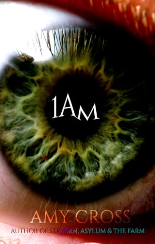 1am book cover