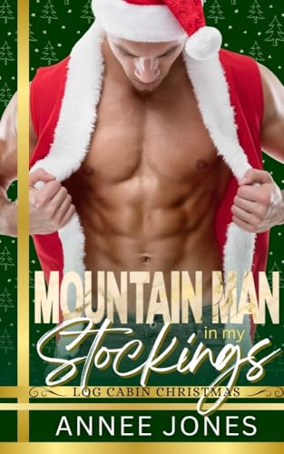 Mountain Man in my Stockings book cover