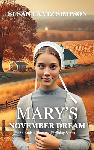 Mary's November Dream book cover