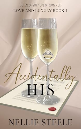 Accidentally His book cover