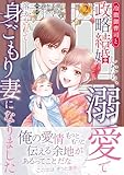 ＜冷徹御曹司と政略結婚したら、溺愛で溶かされて身ごもり妻になりました２ (マーマレードコミックス)＞