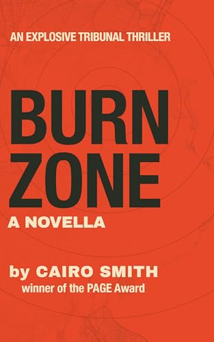 Burn Zone book cover