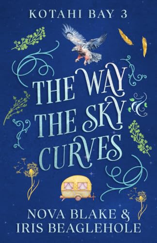 The Way the Sky Curves book cover