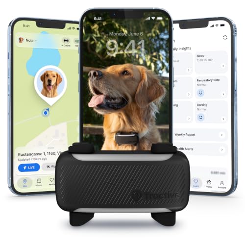 🔥 STARKER PREIS (-25%) Tractive XL Smarter Hunde GPS Tracker | Modell 2026 | Live-GPS-Ortung | Weglaufalarm & Gesundheitswarnungen | Überwachung der Vitalwerte | Lange Akkulaufzeit | Empfohlen von Martin Rütter (Schwarz)