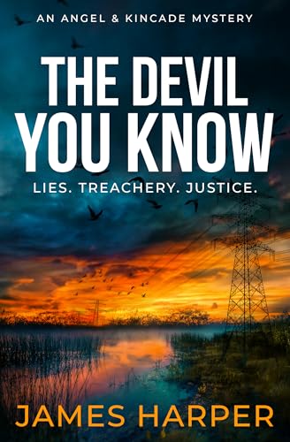 The Devil You Know book cover