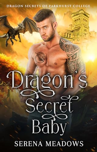 Dragon's Secret Baby book cover