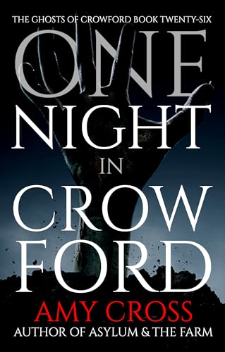 One Night in Crowford book cover