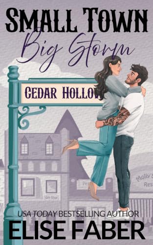 Small Town, Big Storm book cover