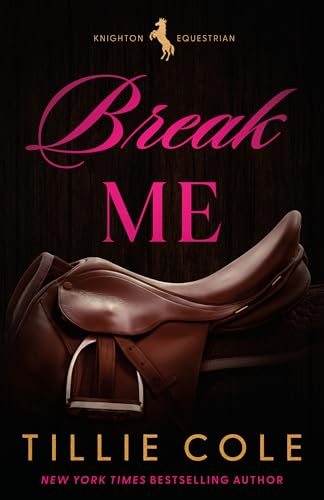 Break Me book cover