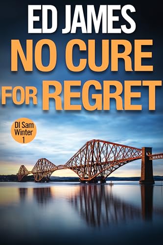 No Cure For Regret book cover