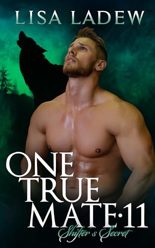 Shifter's Secret book cover