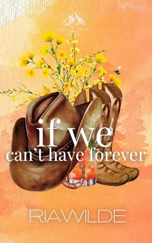 If We Can't Have Forever book cover