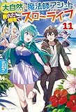 大自然の魔法師アシュト、廃れた領地でスローライフ11 (アルファポリス)