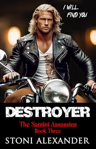 Destroyer book cover
