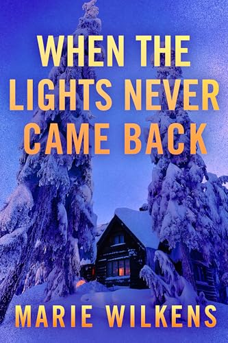 When the Lights Never Came Back book cover