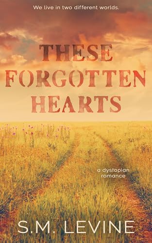 Discounted Book