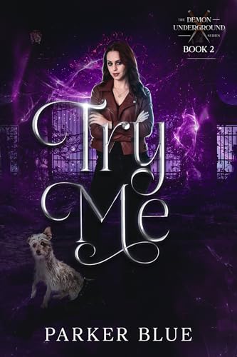 Try Me book cover