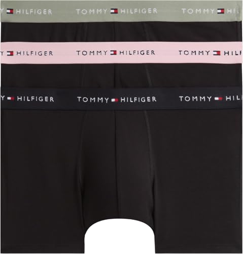 🔥 STARKER PREIS (-30%) Tommy Hilfiger Trunk