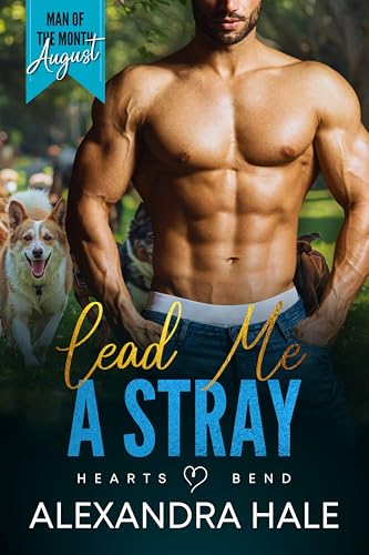 Lead Me A Stray book cover