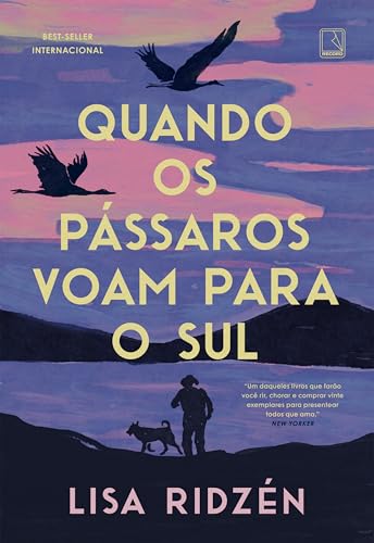 Quando os pássaros voam para o sul