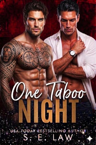 One Taboo Night book cover