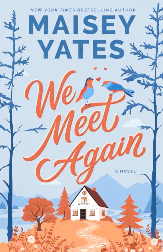 We Meet Again book cover
