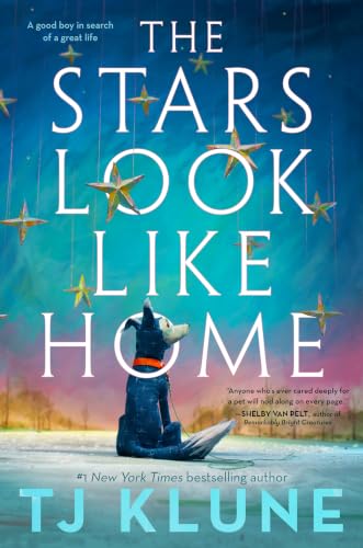 The Stars Look Like Home book cover