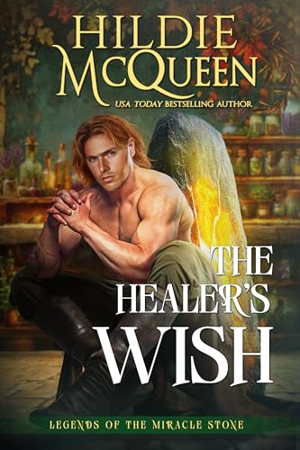 The Healer's Wish book cover