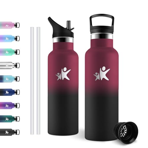 🔥 STARKER PREIS (-55%) JAPORIA Thermosflasche 500ml, Auslaufsicher, BPA-Frei, Edelstahl Trinkflasche mit Strohhalm, Kohlensäure Geeignet, für Fahrrad, Camping, Sprudel