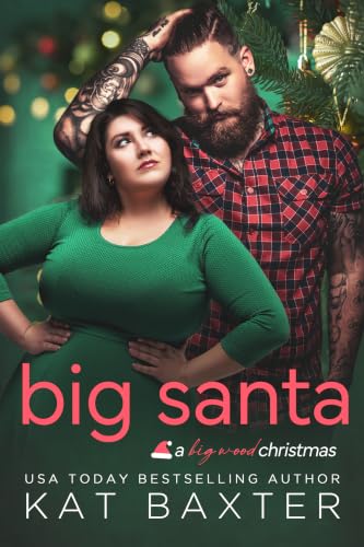 Big Santa book cover