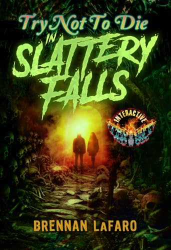 In Slattery Falls book cover