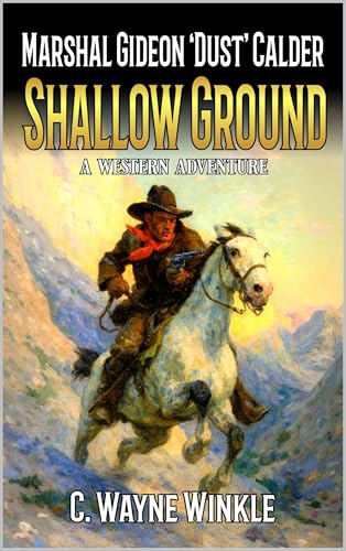 Shallow Ground book cover