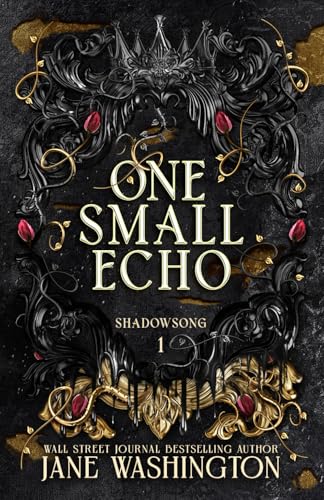 One Small Echo book cover