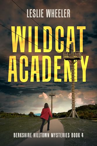 Wildcat Academy book cover
