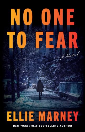 No One to Fear book cover