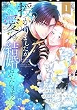 ＜授かりましたが、愛なき結婚はいたしません【フルカラー電子単行本版】1 (フラオト)＞