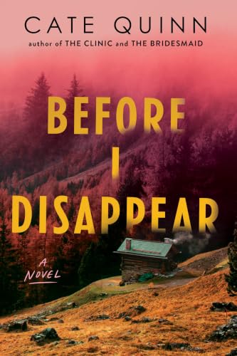 Before I Disappear book cover