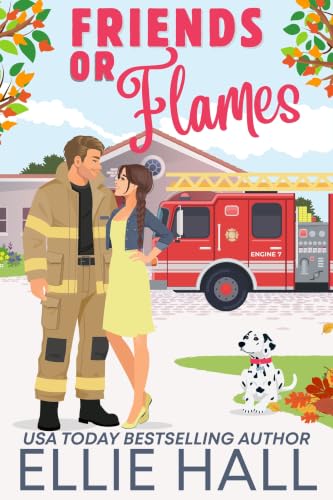Friends or Flames book cover