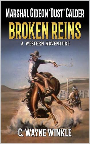 Broken Reins book cover